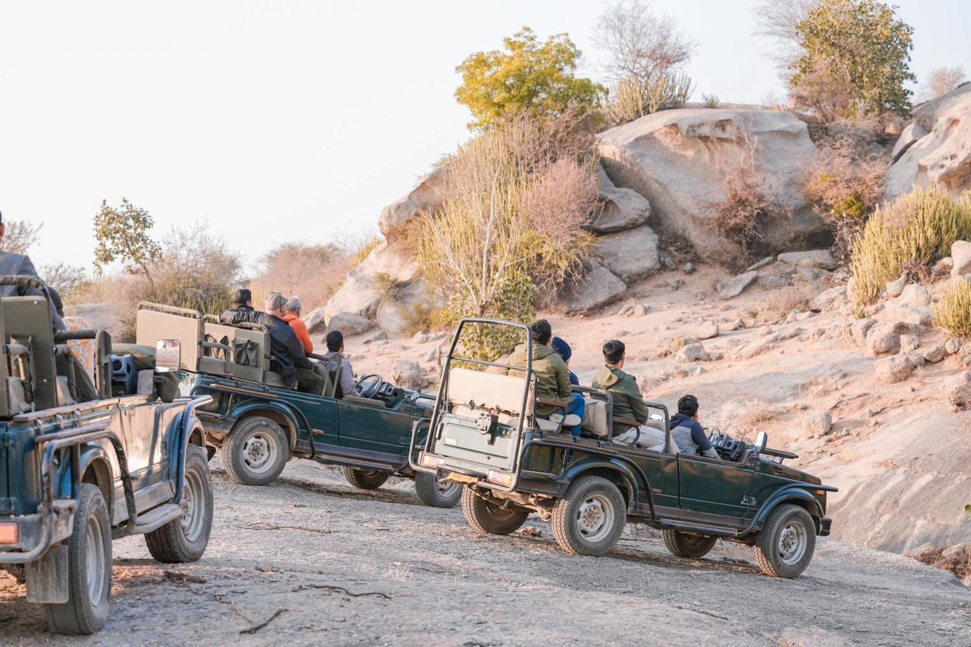 Bed and Breakfast Jawai Wildlife Safari Camp Nana Exterior foto